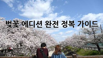 벚꽃 에디션 완전 정복 가이드 🌸