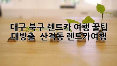 대구 북구 렌트카 여행 꿀팁 대방출! 🚗💨 #산격동 #렌트카여행