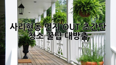 🧹 사리현동 먼지 OUT! 초간단 청소 꿀팁 대방출 ✨